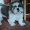 Judy Daugherty - @judy.daugherty - TikTok