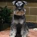 Judy Dent - Facebook