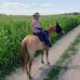 Judith Doerr - Facebook