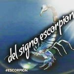 judithdonato95gmaiñ.com - @judithdonato95gmain.c - Instagram