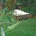 Judith Dooley - Facebook