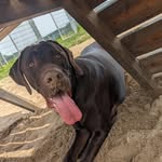 Judith Götzenberger-Dreyer - @karlsson_und_wir - Instagram