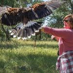 Judith Drury - @mn_viking - Instagram