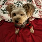 Judy Duffield - Facebook