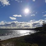 Judy Dunning - @judith.dunning58 - Instagram