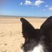 Judith Dutton - Facebook