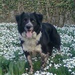 Judith Egan - @judith_blakebeck_farm - Instagram