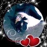 Judith Eldridge - @judysphone123 - Instagram