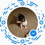 Judith McKinley Eller - @judy.eller.31 - Instagram