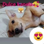 Judith Escobar - @judithmariaescobarramos - Instagram