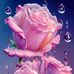 Judith Escobar - Facebook