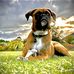Judith Evenson - Facebook