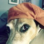 Judith Everitt - @jeveritt1970 - Instagram