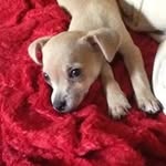 Judith Farley - @judithfarley - Instagram
