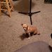 Judi Farrington - Facebook