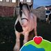 Judith Farrington - Facebook