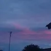 JudithFerrellOR - @judithferrellor - TikTok
