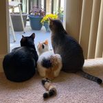 Judith&Newton&Florence - @jude.newt.flo - Instagram