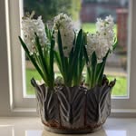 Judith Forster - @j_m_forster - Instagram