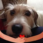 Judith - @judithforster238 - Instagram