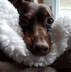 Judith Frame - Facebook
