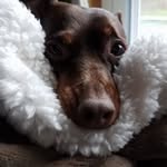 Judith Frame - @judith.frame.184 - Instagram