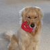 Judie Freeland - Facebook