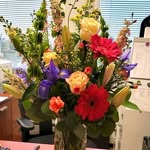 Judith R. Freeland - @judithr.freeland - Instagram