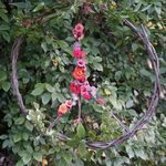 Judith Gale - @judithgaleart - Instagram