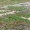 m - @judith.gideon3 - TikTok