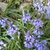 Judi Gilpin - Facebook