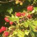 Judi Gilpin - Facebook