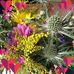 Judith Gilpin - Facebook
