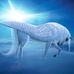 Judy Goldfarb - Facebook
