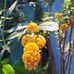 Judith Gottlieb - Facebook