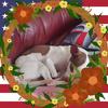 judithgraybill496 - @judithgraybill496 - TikTok