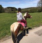 Judith Grupp - Facebook
