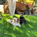 Judith Gutowski - Facebook