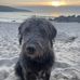 Judith Hackett - Facebook