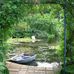 Judith Hackett - Facebook