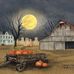 Judi Hackworth - Facebook