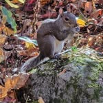 Judith Haller Anderson - @squirrel.haller - Instagram