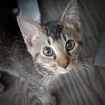 Judith Harden - @judy.harden31 - Instagram
