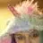 Judith Hare - @judithhare - TikTok