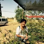Judith Harel - @judithharel - Instagram