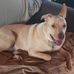 Judith Harmon - Facebook