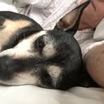 Judi Haskell - @judisbca - Instagram