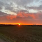 Judith Haupt - Facebook