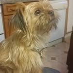 Judith Hedges - @hedgesjudith - Instagram