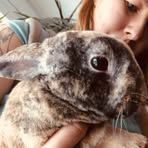 Judith Hedlund - Facebook